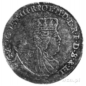 tymf 1763, Elbląg, Aw: Popiersie i napis, Rw: Herb Elbl...