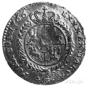 złotówka 1766, Warszawa, Aw: Głowa i napis, Rw: Tarcza ...