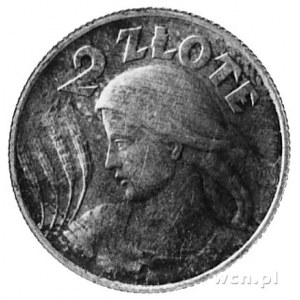 2 złote 1924 litera H, srebro 27.0 mm, 10.0 g., bita st...