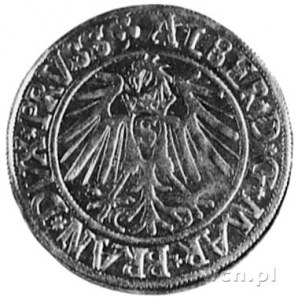 grosz 1541, Królewiec, j.w., Kop.II.l