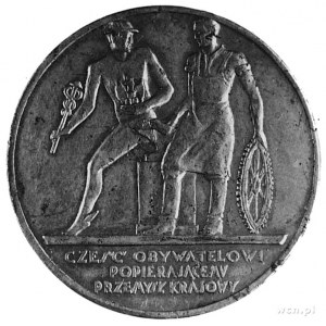 medal nie sygnowany, wybity w 1929 r. z okazji Powszech...