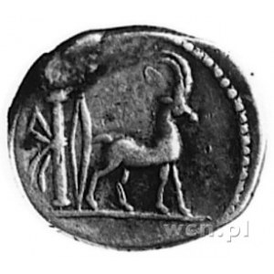 Cn. Plancius (55 p.n.e.), denar, Aw: Głowa Diany Planci...