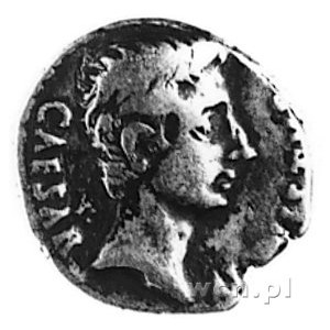 denar, Aw: Głowa Augusta w prawo i napis: CAESAR..., Rw...