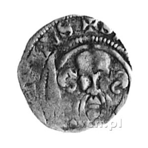 Otto III 1383-1428, Bassum, denar, Aw: Głowa św. Pawła ...