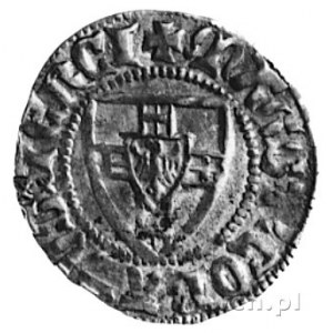 Konrad III von Jungingen (1393-1407), szeląg, Aw: Tarcz...