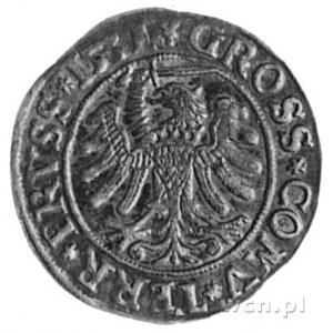 grosz 1531, Toruń, Aw: Popiersie i napis, Rw: Orzeł Pru...