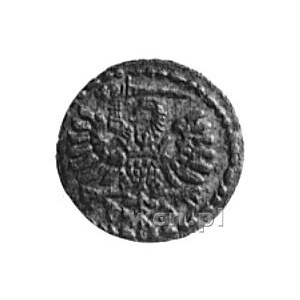 denar 1594, Gdańsk, Aw: Orzeł Prus Królewskich, Rw: Her...