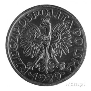 1 złoty 1929- Wieniec z liści i owoców, na rewersie wyp...
