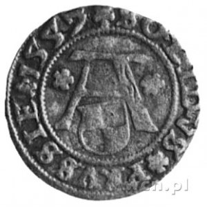 szeląg 1557, Królewiec, Aw: Monogram i napis, Rw: Orzeł...