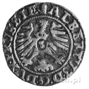 szeląg 1557, Królewiec, Aw: Monogram i napis, Rw: Orzeł...