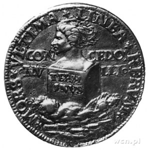 medal Erazma z Roterdamu, Aw: Popiersie Erazma z natury...