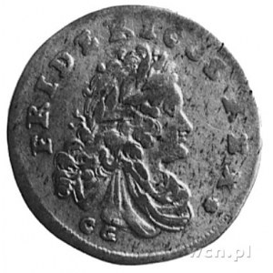 Fryderyk I 1701-1713, 6 groszy 1704, Królewiec, Aw: Pop...