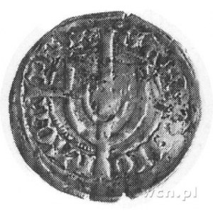 Michał Kuchmeister von Sternberg 1414-1422, szeląg, Aw:...