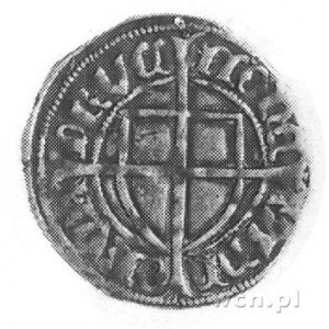 Paweł von Russdorf 1422-1441, szeląg, Aw: Tarcza Wielki...