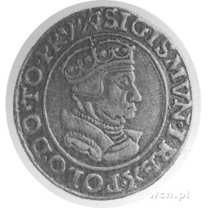 szóstak 1539, Gdańsk, Aw: Popiersie w koronie i napis, ...