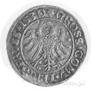 grosz 1530, Toruń, Aw: Popiersie w koronie i napis, Rw:...