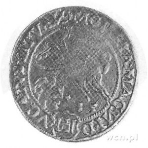 grosz 1535, Wilno, Aw: Orzeł i napis, Rw: Pogoń i napis...