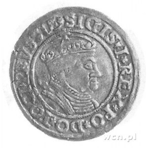 grosz 1535, Toruń, Aw: Popiersie w koronie i napis, Rw:...