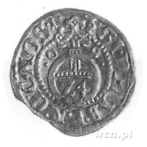 grosz 1609, Nowopole (Franzburg), Aw: Wielopolowa tarcz...
