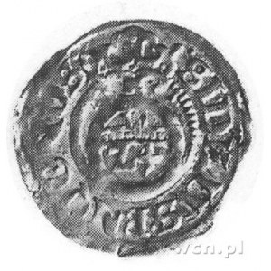 grosz 1611, Nowopole (Franzburg), j.w., Kop.37.1.4 -R-,...