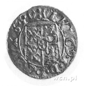 grosz 1621, Darłowo, j.w., Kop. 103.11.1 -R-, Hild 250