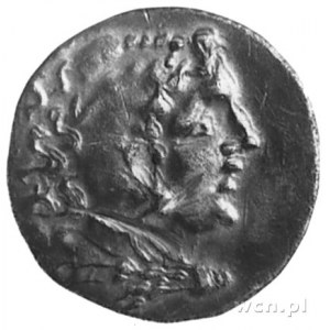KRÓLESTWO MACEDONII- Odessos, tetradrachma (336-323 p.n...