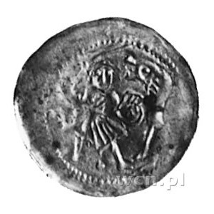 denar, mennica Wrocław 1173-1185/1190 (ew. l177-1185/12...