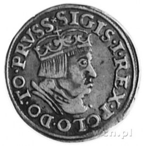 trojak 1536, Gdańsk, Aw: Popiersie w koronie i napis, R...