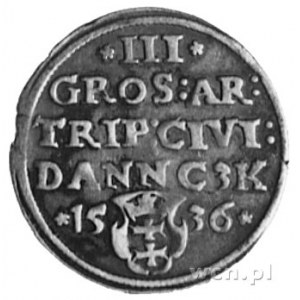 trojak 1536, Gdańsk, Aw: Popiersie w koronie i napis, R...
