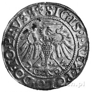 grosz 1540, Elbląg, Aw: Orzeł Ziem Pruskich i napis, Gu...