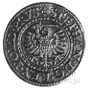 szeląg 1584, Gdańsk, j.w., Gum.788, Kurp.377