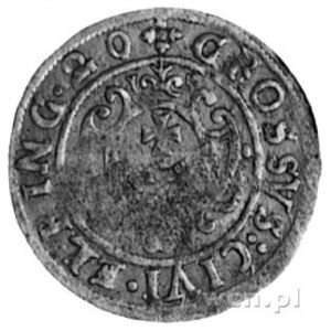 grosz 1620, Elbląg- okupacja szwedzka, Aw: Popiersie Gu...