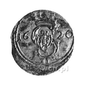 dwudenar 1620, Wilno, j.w., Gum.1281, Kurp.1947 R1