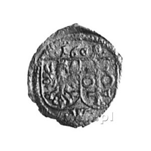denar jednostronny 1609, Wschowa; Tarcze herbowe, Gum.1...