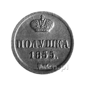 połuszka 1855, Warszawa, Aw: Monogram carski, Rw: j.w.,...