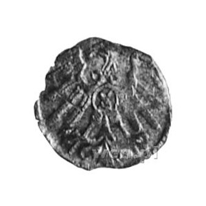 denar 1558, Królewiec, Aw: Monogram, Rw: Orzeł, Kop.1.2...