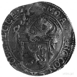 talar lewkowy 16553, Geldria, Aw: Rycerz trzymający tar...