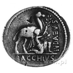 A. Plautius około 55 pne, denar, Aw: Głowa Cybele w wys...