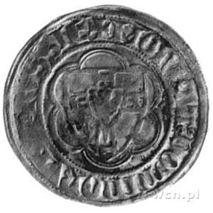 Winrych von Kniprode 1351-1382, półskojec, Aw: Tarcza W...