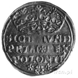 grosz 1528, Kraków, j.w., Gum.483, Kurp.47 R