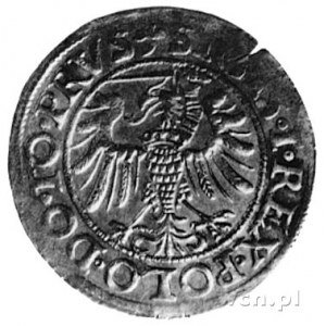 grosz 1539, Elbląg, Aw: Orzeł Prus Królewskich (ręka z ...