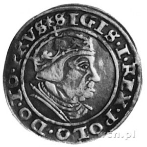 grosz 1540, Gdańsk, Aw: Popiersie w koronie i napis, Rw...