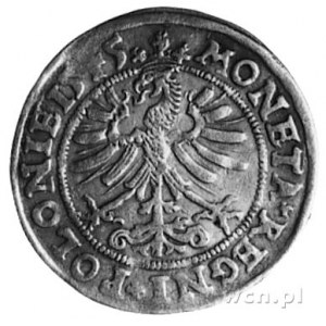 grosz 1545, Kraków, typ monety jak poprzedni ale wyraźn...