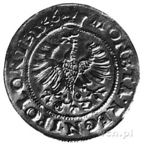 grosz 1546, Kraków, j.w., odmiana w napisie na awersie:...