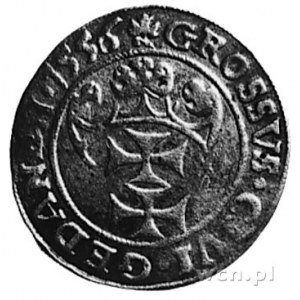 grosz 1556, Gdańsk, Aw: Popiersie w koronie i napis, Rw...