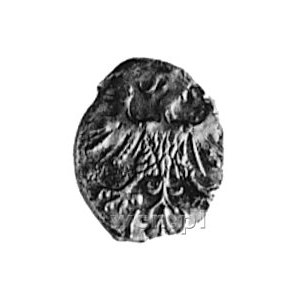 denar 1559, Wilno, j.w., Gum.592, Kurp.646 R3, T.8