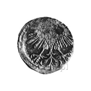 denar 1560, Wilno, j.w., Gum.592, Kurp.648 R3, T.12, le...