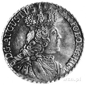dwuzłotówka (8 groszy) 1753, Lipsk, j.w., odmiana: mnie...