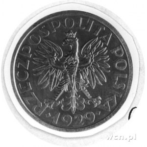 1 złoty 1929, Warszawa, na rewersie poniżej cyfry 1 nap...