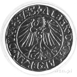 grosz 1546, Królewiec, j.w., Neumann 47, Kop.III.3